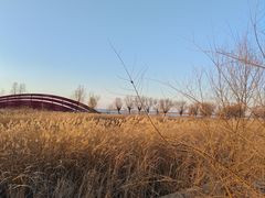-卧龙湖