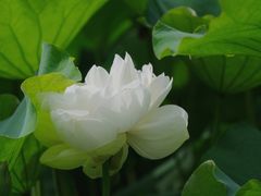 -黄兴公园