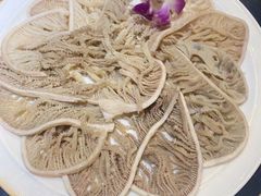 千层肚-红鼎坊·老成都火锅(新南门店)