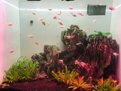 -多彩贵州城极地海洋世界