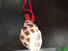 -贝壳王国博物馆