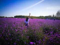 -赛汗塔拉风情园