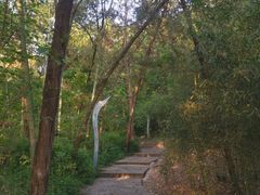 -云龙山