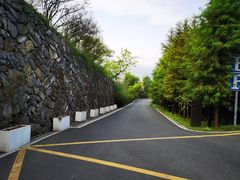 -杭州桐庐康莱德酒店西餐厅-舍