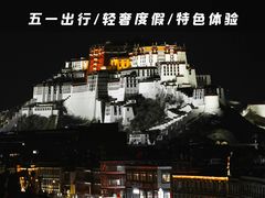 -布达拉宫