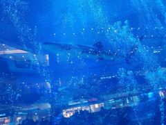 -成都浩海立方海洋公园