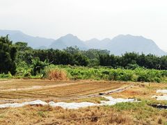 -竹语饭香·原生态农庄·烧鸡·竹筒饭·河鲜(森林海白水寨店)