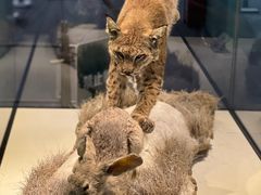 -国家自然博物馆