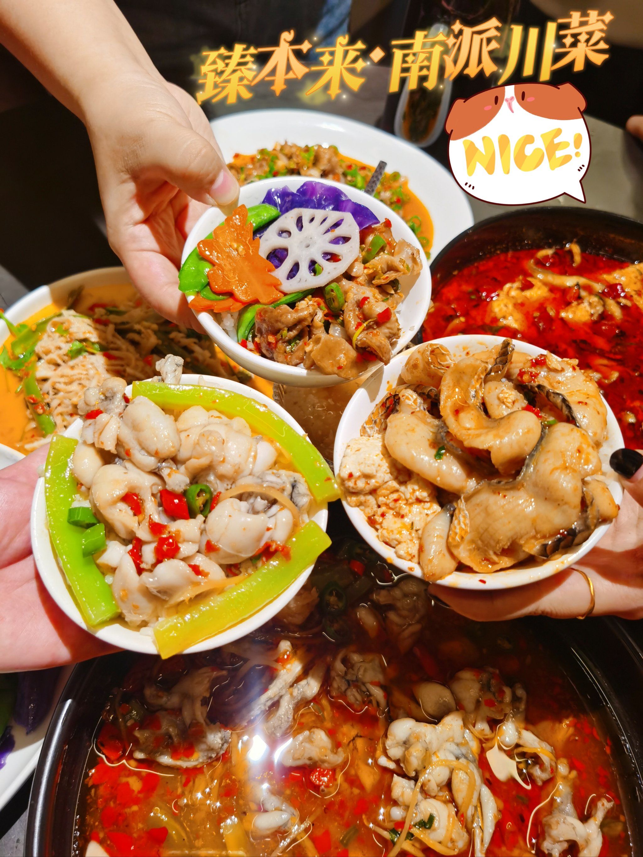 95杭州川菜新宠,手工豆花鱼96