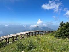 -白草畔自然风景区