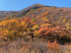 -建平天秀山森林公园