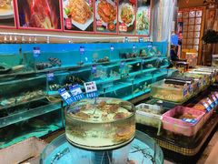 -强记海鲜·大排档(蛇口新街店)