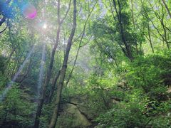 -大岭沟猕猴桃谷风景区