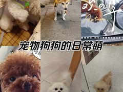 -瑞虹新天地月亮湾