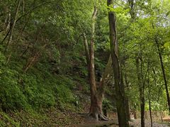 -石台牯牛降景区