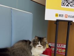 -宠欣安宠物医院·包河区中心医院