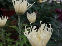 -共青国家森林公园-售票处