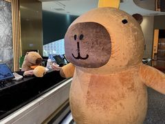 -金色印象·HiFi影音·按摩足疗PLUS(黄泥磅店)