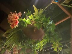 -胡桃里乐队酒馆