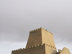 -金塔沙漠胡杨林景区