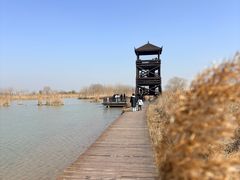 -盐城丹顶鹤湿地生态旅游区