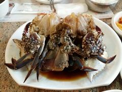 android_upload_pic-普乐酱蟹(coex店)