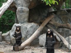 -清迈夜间动物园