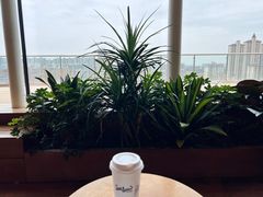 -Seesaw Coffee(朝阳大悦城店)