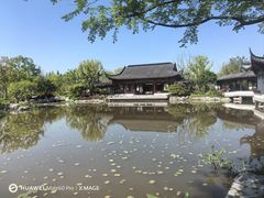 -上海滨江森林公园