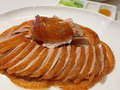 -小桃红·东北菜·春饼烤鸭(南阳湖街店)