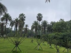 -圣爵菲斯大酒店(长沙世界之窗店)