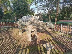 -上海海湾国家森林公园