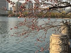 -迎泽公园