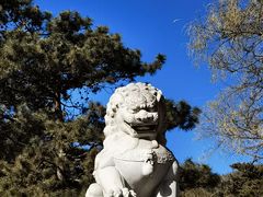 -八大处公园