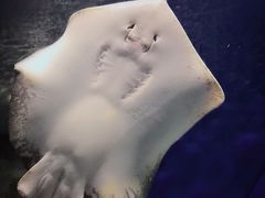 -福州罗源湾海洋世界旅游区