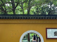 -西园戒幢律寺