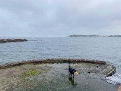 -青岛海滨风景区