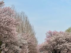 -吉林大学(南岭校区)