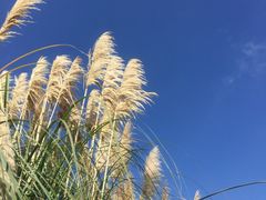 景点-贵阳市花溪国家城市湿地公园