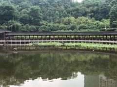 -龙头寺公园