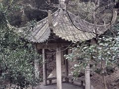 iphone_upload_pic-峙山公园
