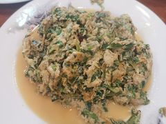 蒲公英炒蛋-土菜水饺村(宁夏路店)