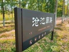 -汉长安城未央宫国家考古遗址公园