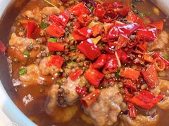 水煮牛肉-新蜀会四川豆花(五羊店)