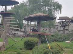 -石家庄市动物园