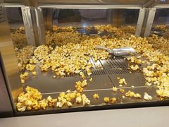 -椰小咖(亚龙湾东榕美食广场店)