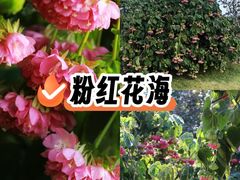 -南宁南湖公园