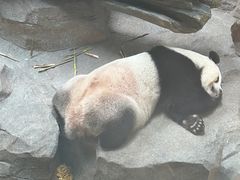 -宁波野生动物园