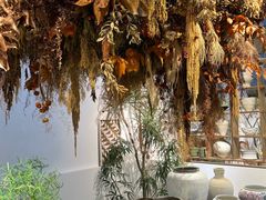 -自由生长植物工作室(深港花卉中心店)