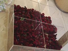 -书亦烧仙草(万家丽一店)